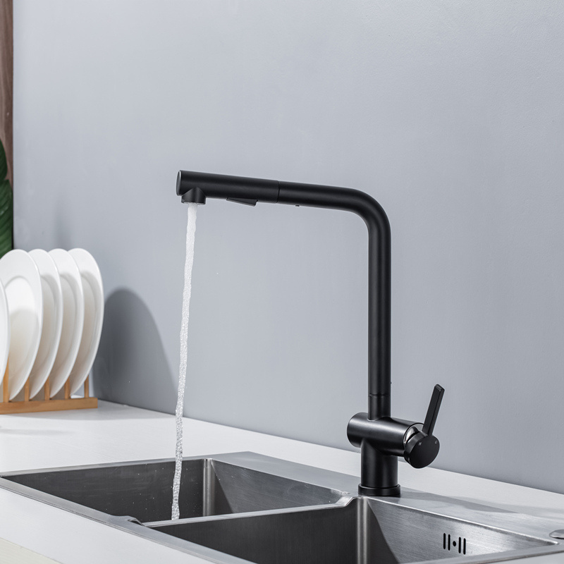 Matte Black Stainless Steel Faucet Kitchen Faucet With Pull Out Sprayer Water Tap