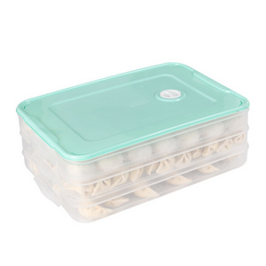 CXT293 Refrigerator Dumplings Storage Box Stackable Clear Vegetable Food Storage Box PET Refrigerator Organizer