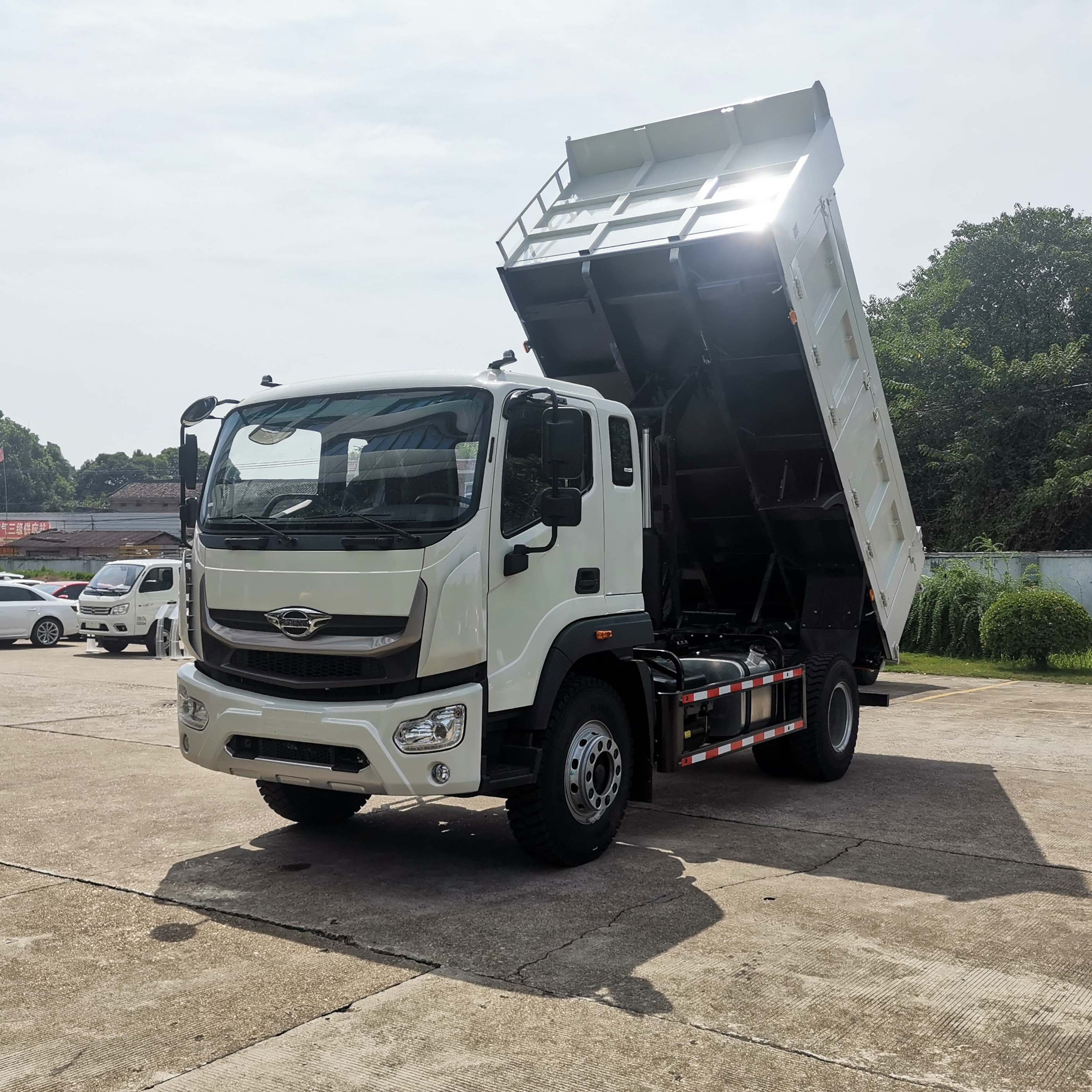 Foton 12 Ton Cargo Truck 4*2 6 wheels Dump Trucks For Jamaica