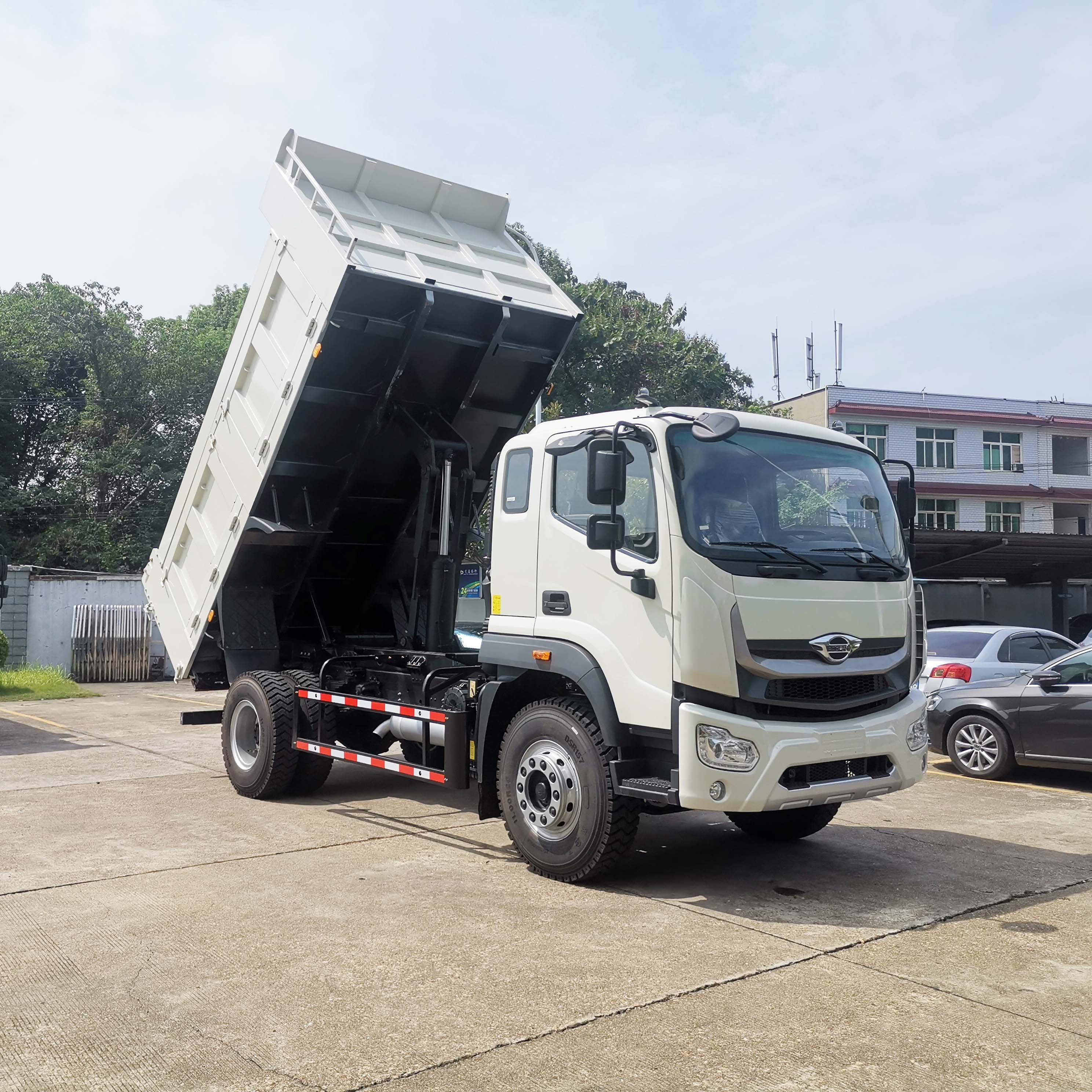 Foton 12 Ton Cargo Truck 4*2 6 wheels Dump Trucks For Jamaica