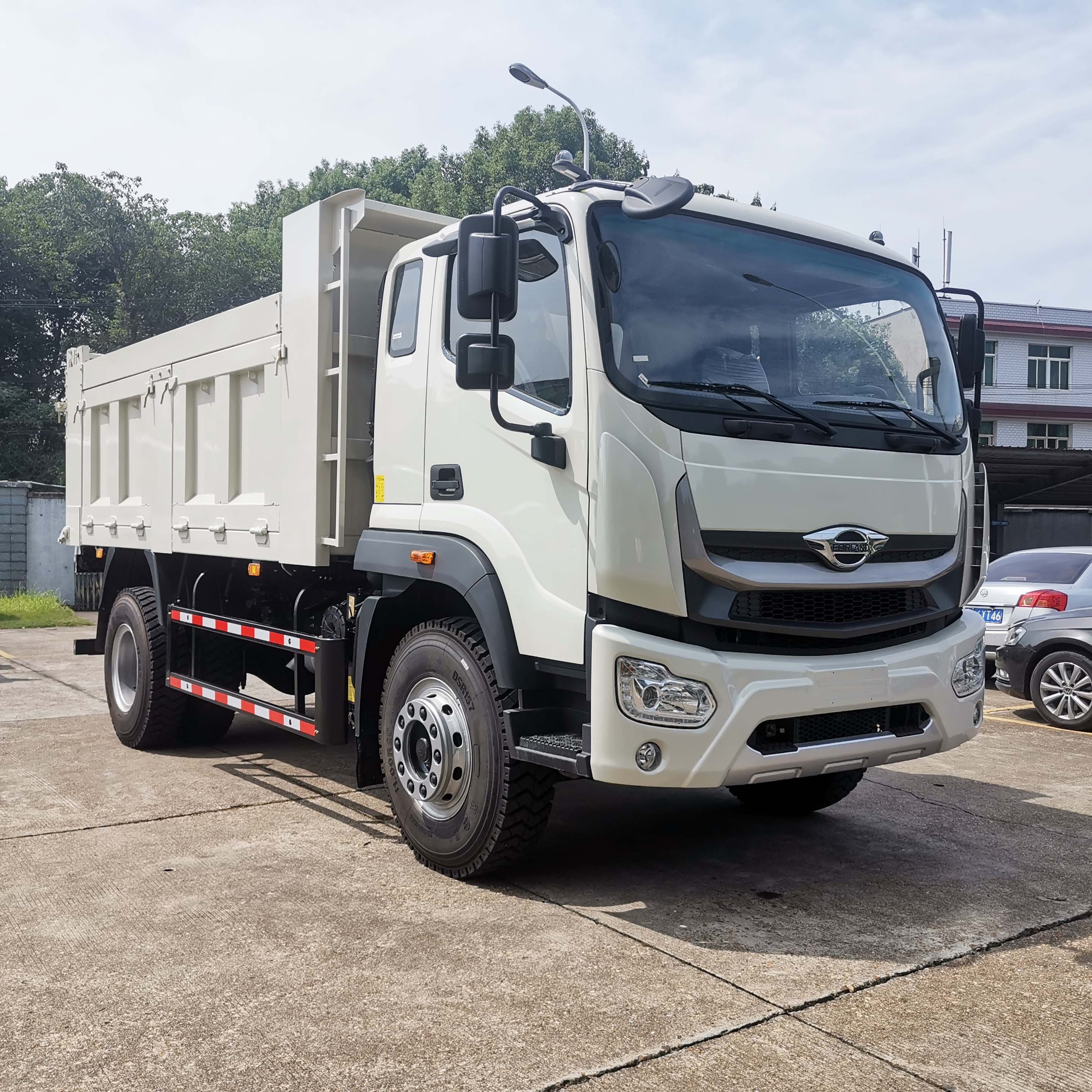 Foton 12 Ton Cargo Truck 4*2 6 wheels Dump Trucks For Jamaica