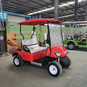 Cheap Price Adult Club Car Buggy Electric Mini Car Golf Cart for sale