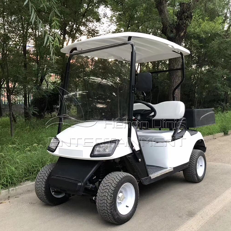 Cheap Price Adult Club Car Buggy Electric Mini Car Golf Cart for sale