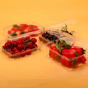 Supermarket Customized capacity Food Grade Blister Plastic Pet Packaging Fruit Strawberry Punnet Box Container