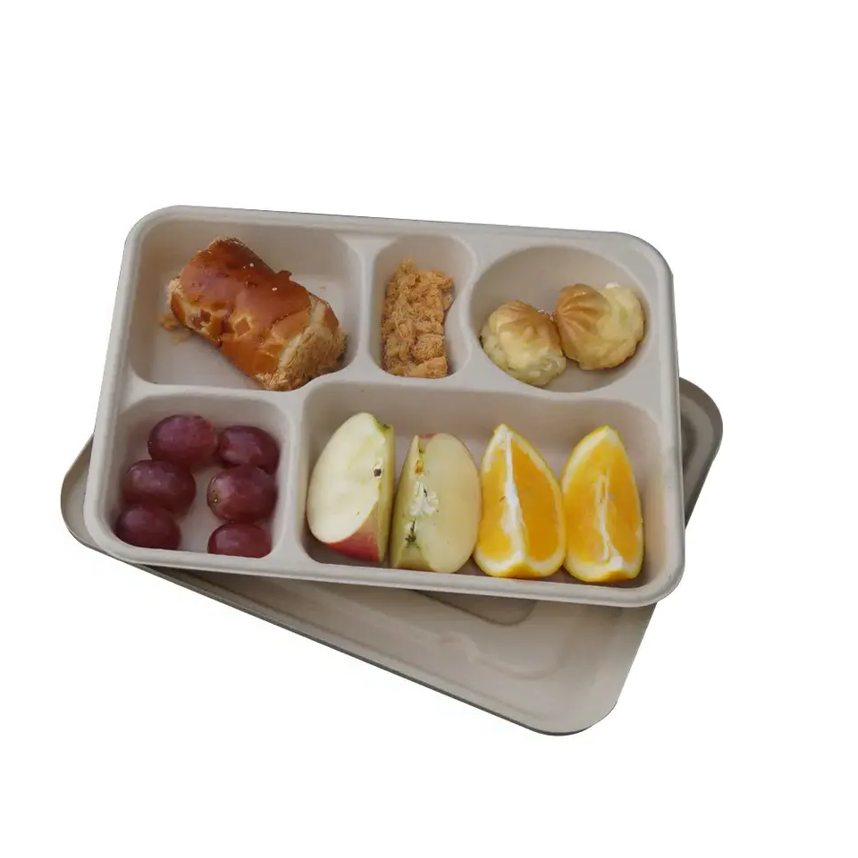 OEM Food Take Away Disposable Biodegradable 6 Compartments Lunch Container Sugarcane Bagasse/Bamboo Pulp Bento Box with Lid