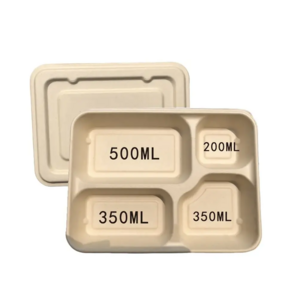 OEM Food Take Away Disposable Biodegradable 6 Compartments Lunch Container Sugarcane Bagasse/Bamboo Pulp Bento Box with Lid