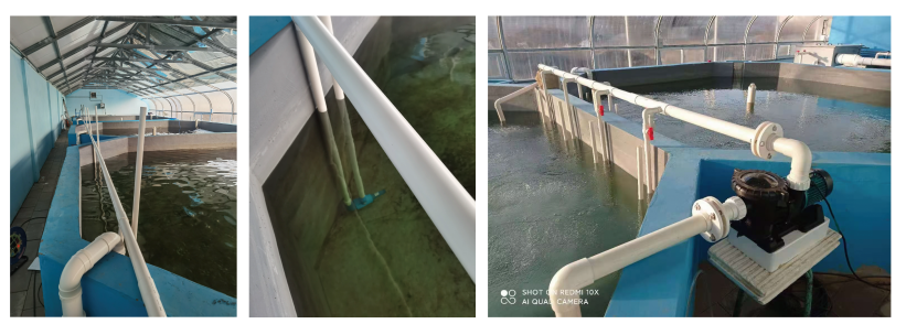 Popular Aerator Increase Oxygen Density In Water Venturi Aerator For Aquaculture