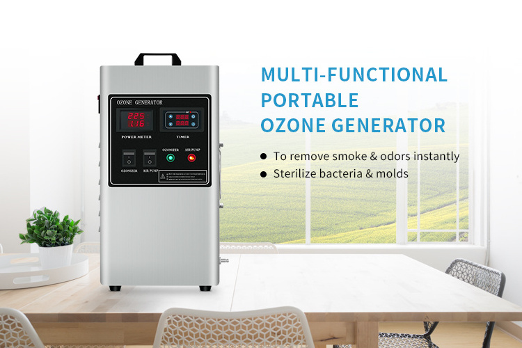 Hot Selling Ce 110v 220v Household Ozone Air Generator Portable 5g Air Purifier Ozone Generator