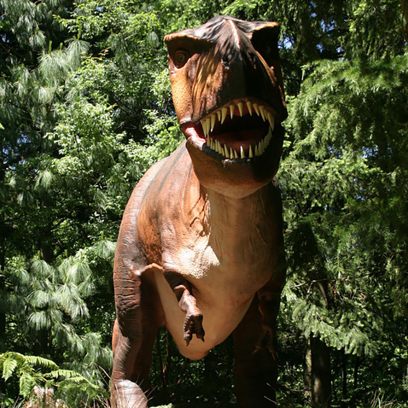 Factory Direct Dynamic Movement Animatronic Dinosaur Model with Silica Gel Skin and Roaring Sound