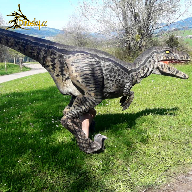 Professional adult dinosaur costume for sale walking dinosaur film props shows