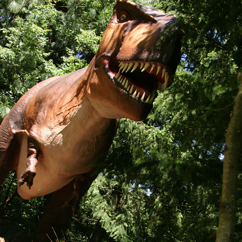 Factory Direct Dynamic Movement Animatronic Dinosaur Model with Silica Gel Skin and Roaring Sound