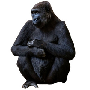 Realistic Life-size Animal Gorilla Costume Suit for Party Show