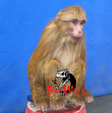 Dino1023 Artificial realistic Animal Animatronic Monkey model For Sale