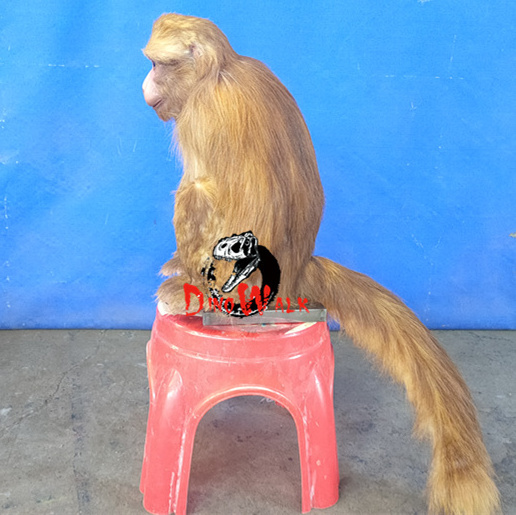 Dino1023 Artificial realistic Animal Animatronic Monkey model For Sale