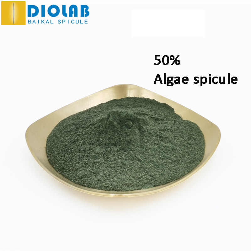 Algae spicule powder 40%  hydrolyzed sponge spongilla lacustris extract biomicroneedling powder OEM available