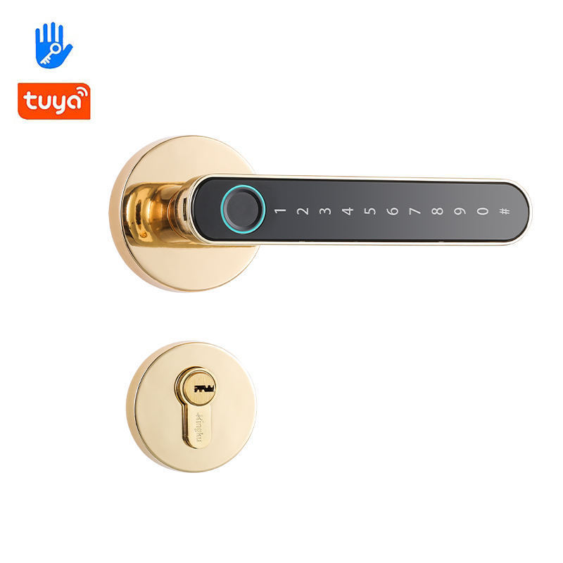 Intelligent Electronic Biometric Home Fingerprint Password Handle tuya zigbee Smart Door Lock