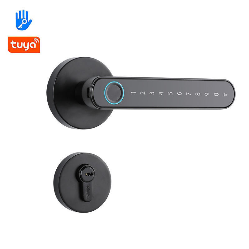 Intelligent Electronic Biometric Home Fingerprint Password Handle tuya zigbee Smart Door Lock