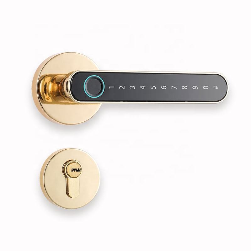 Intelligent Electronic Biometric Home Fingerprint Password Handle tuya zigbee Smart Door Lock