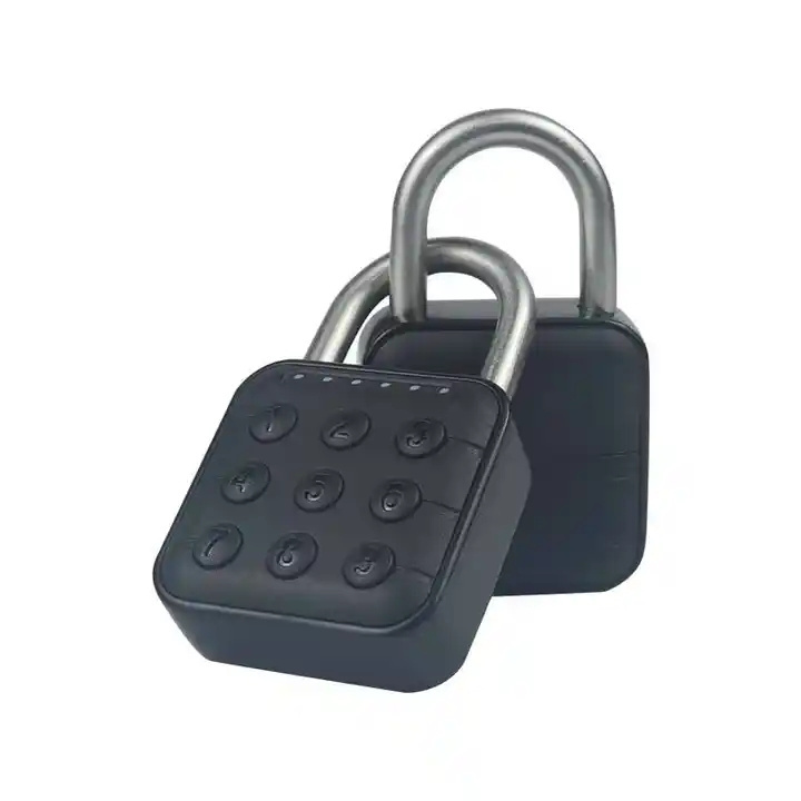 Smart Padlock With Number Disc Password Stainless Steel Padlock Waterproof Outside Door