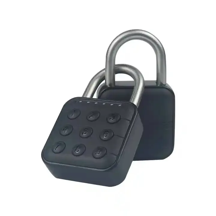 School Gym Cabinet Mini Waterproof IP67 Padlocks,Luggage Travel Lock Biometric Security Fingerprint Padlocks