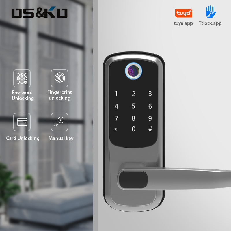 Electric door handle lock fingerprint door lock memory card for bedroom wooden home digital smart life outside lock