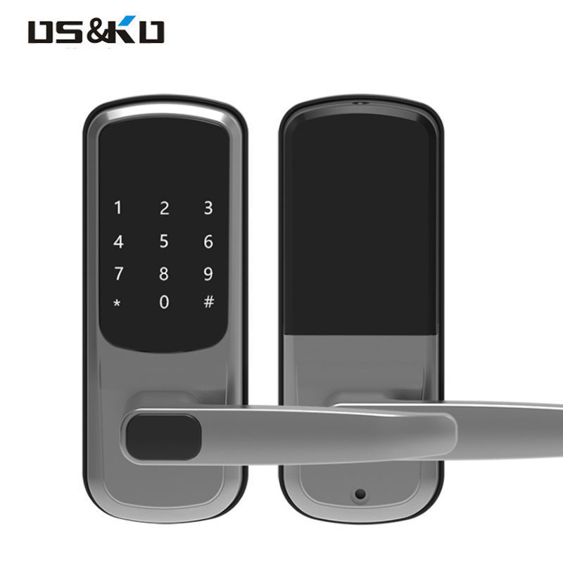 Electric door handle lock fingerprint door lock memory card for bedroom wooden home digital smart life outside lock