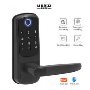 Electric door handle lock fingerprint door lock memory card for bedroom wooden home digital smart life outside lock