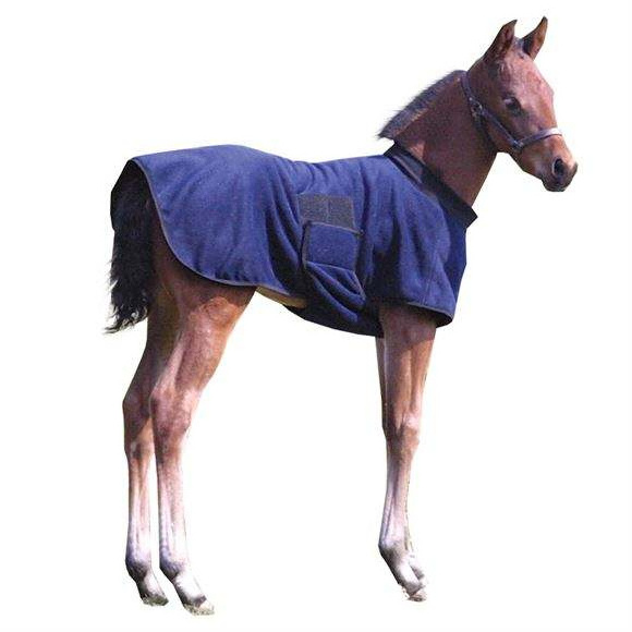 WHOLESALE MANUFACTURER EQUEATRIAN HORSE WINTER TURNOUT COMBO FLEECE RUG BLANKET ALL SIZES ODM & OEM ACCEPTED