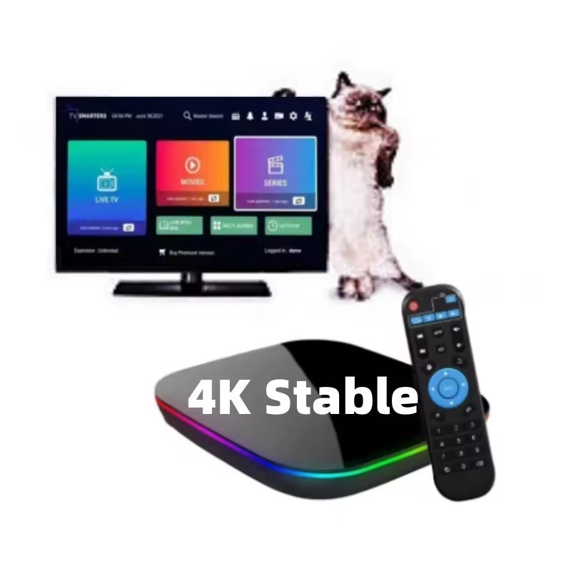 Hot Selling Box TV Italy Quad Core Android Tv Box14k Ram 42 Rom 800 Iptv 4k Android 4.0,windows 8.1 AF 8K 4K Netflx 4k 802.11ac