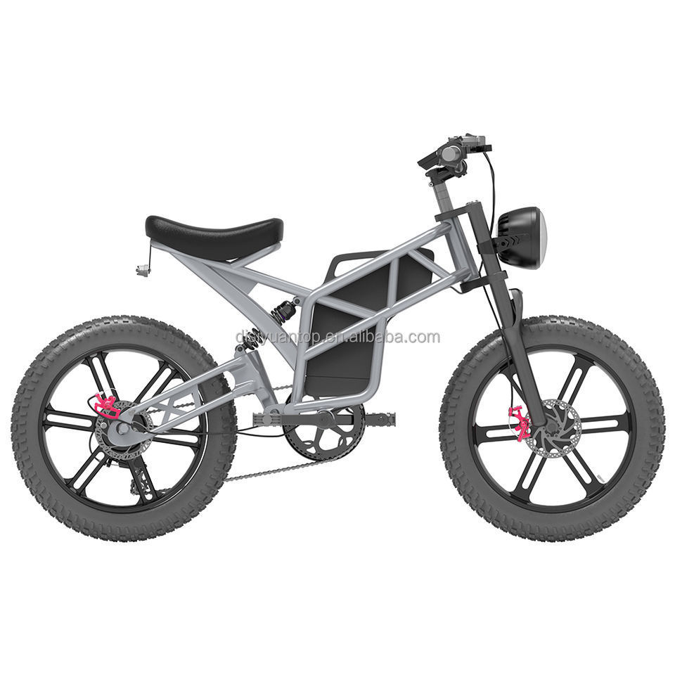 DISIY S10 20 inches Sand and Snow 45km/h Electric Bike 48v 500W V20 Elektrische Fiets Ebike Velo Electrique Bicicleta Eletrica