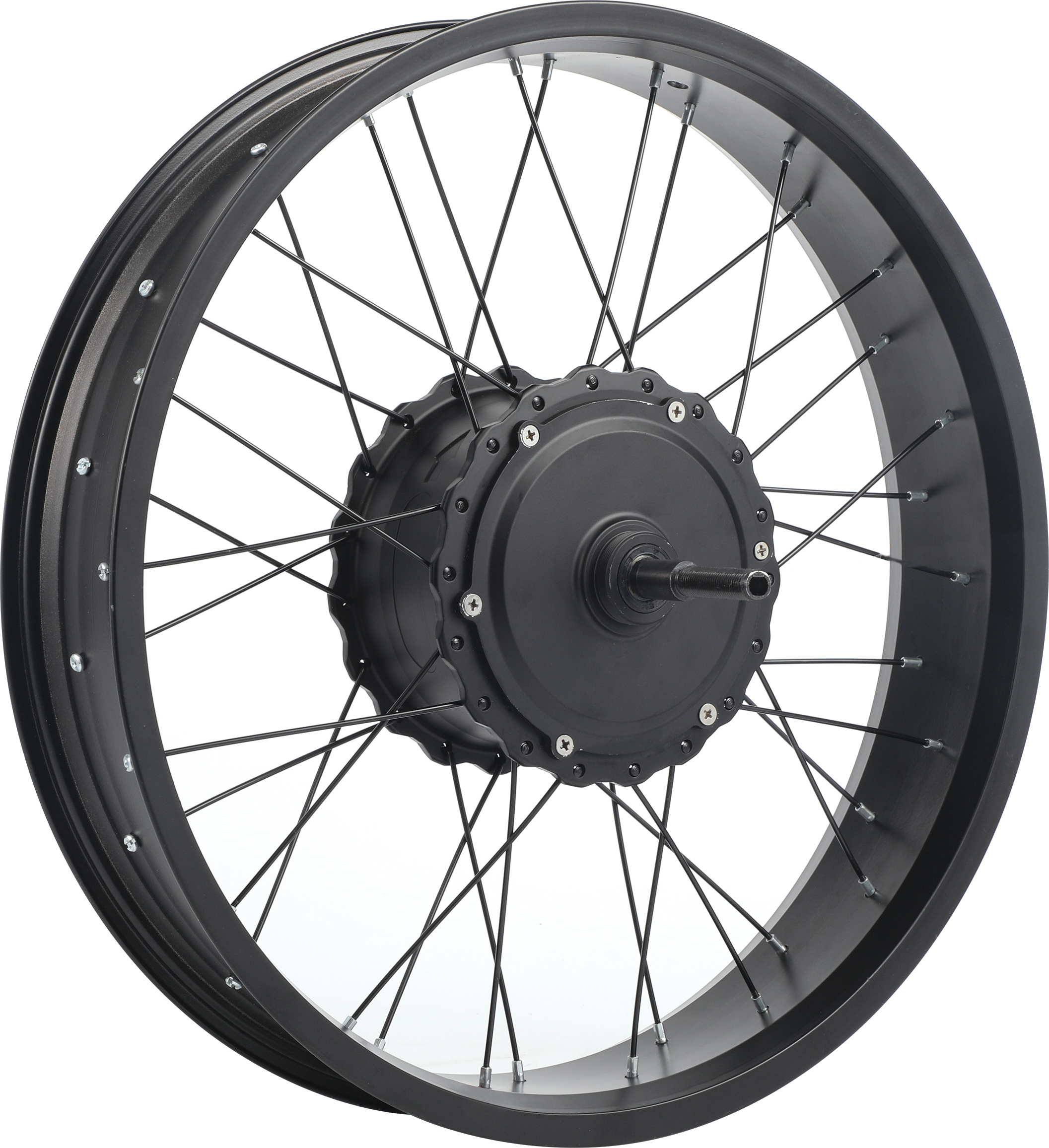 4.0 Fat Tire 20 Inch Off-road Wheel Integrated Wheel Motor Electric Mountain Bike Motor 48V 350W High Speed Magnesium Alloy