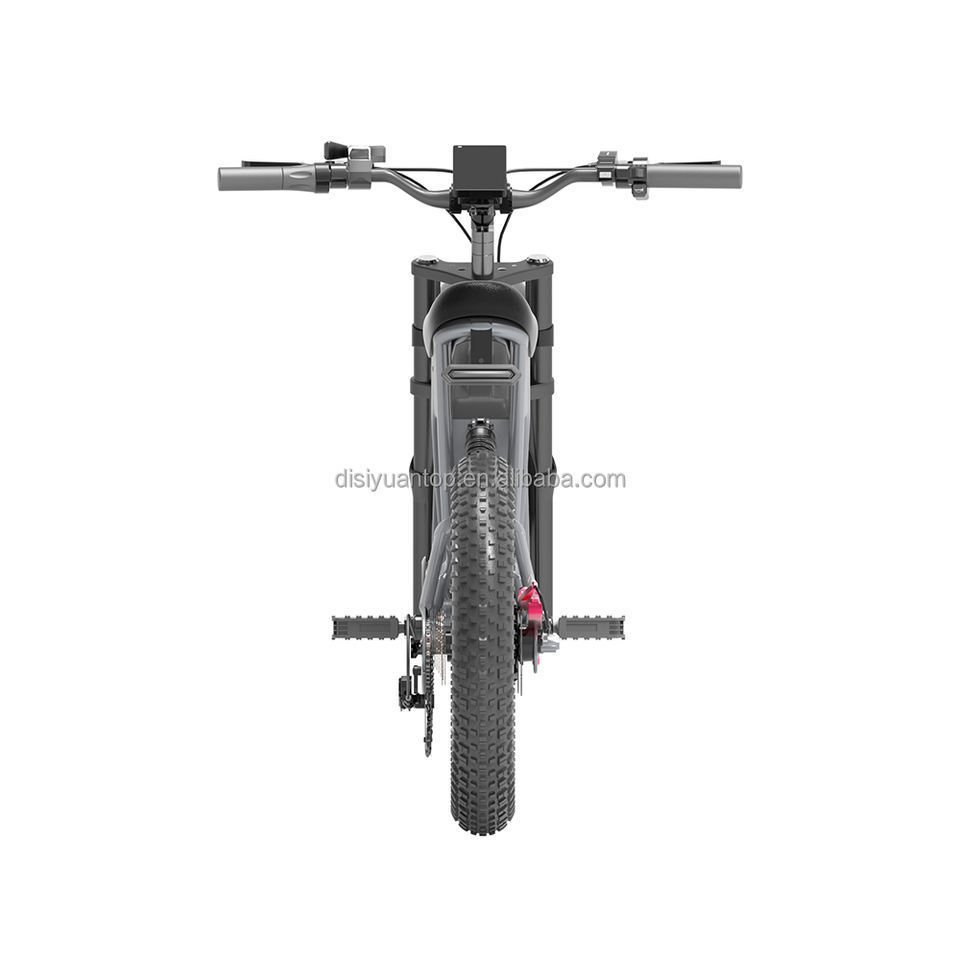 DISIY S10 20 inches Sand and Snow 45km/h Electric Bike 48v 500W V20 Elektrische Fiets Ebike Velo Electrique Bicicleta Eletrica