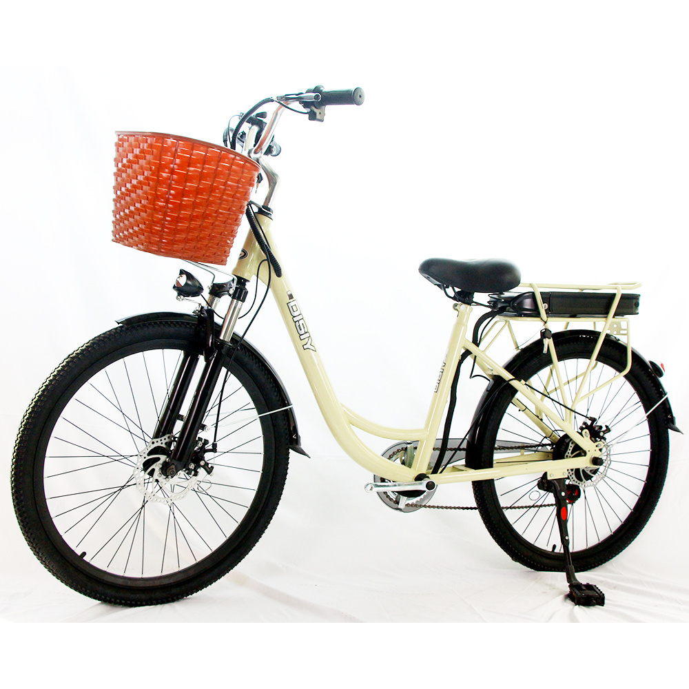 DISIYUAN 24-inch 26-inch 48V60V electric city bike 350W 500W 800W high-speed motor electric tandem bicycle