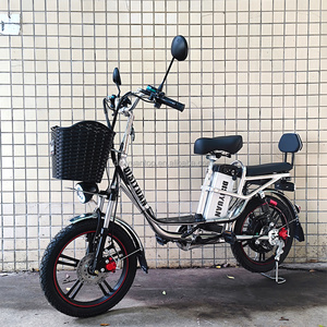 DISIYUAN 18 inch two wheels Electric Bike With 12Ah lithium Battery 48V 500W Motor Long Range Delivery Cargo Bike