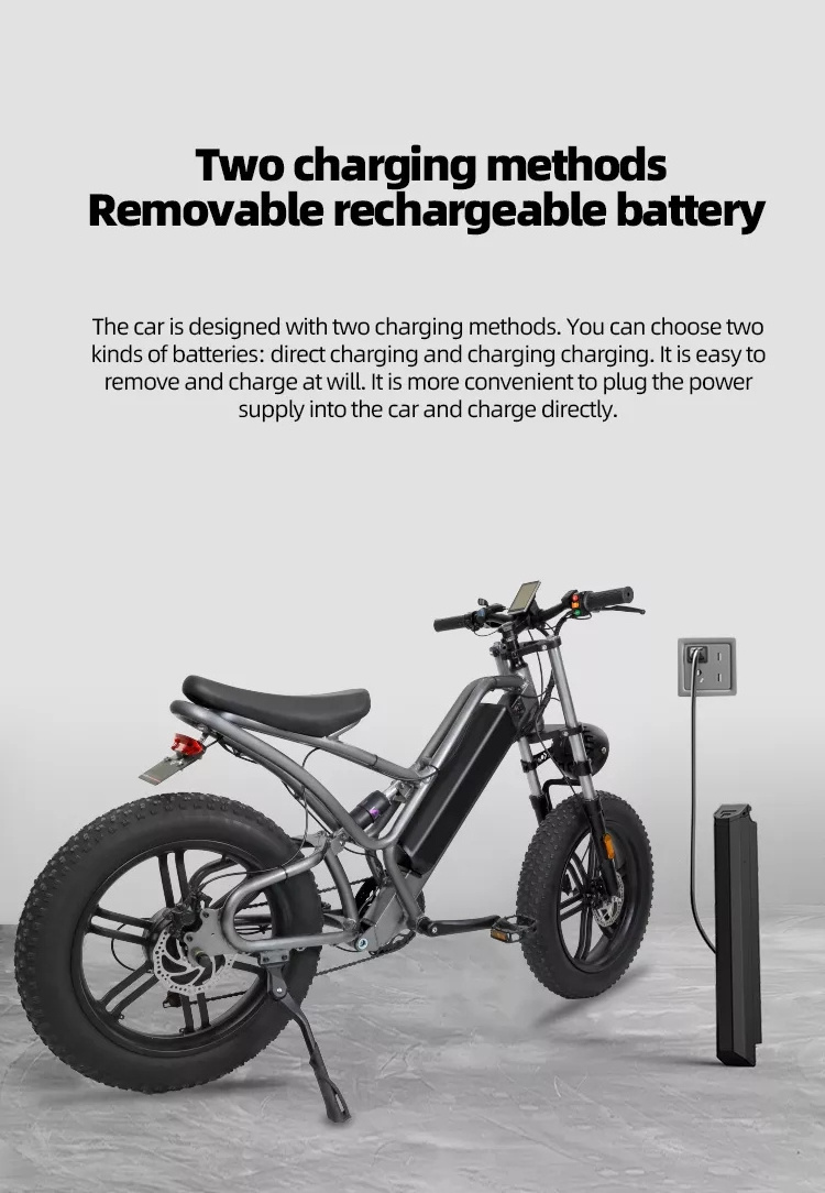 DISIYUAN S9 plus electric mountain bike 20inch 48v 10ah 15ah 20ah 30ah 500w 1000watt electric bicycle fat tire road dirt ebike