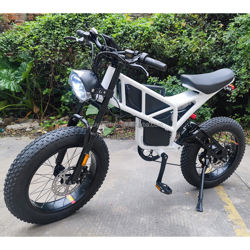 DISIYUAN  ebike city bicycle urban 20inch 48v 500w 750w 1000w fat tyre electric dirt e bike