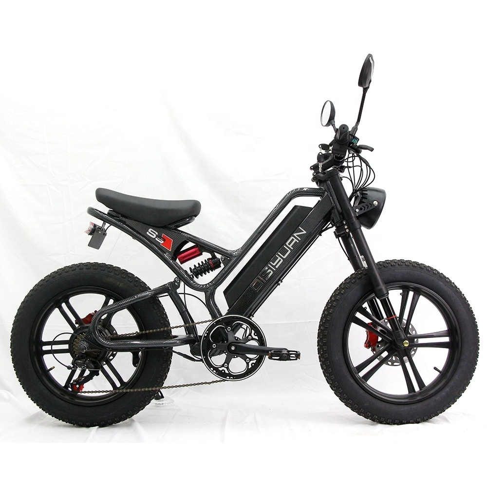 Disiyuan 20 inch Cargo Mtb Electric Bike 48V Fat Tire Electric Bicycle v20 bike Electric Mountain Bike 1000w 500w Super S9