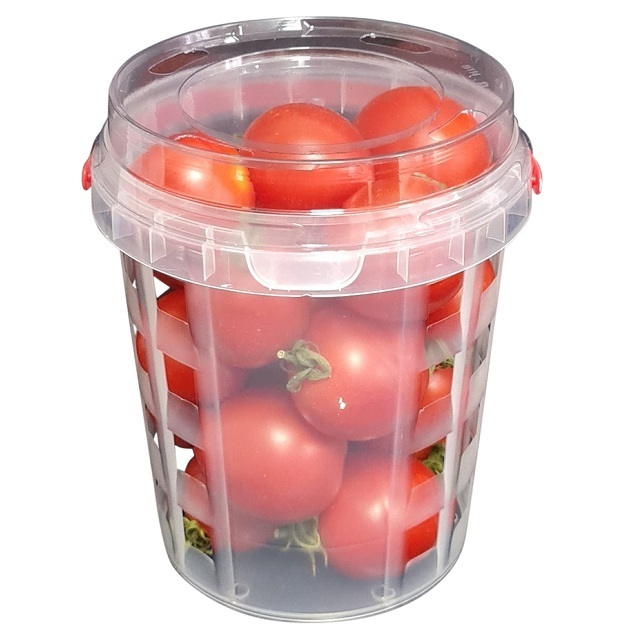 Clear Plastic Fruit Punnet for Mushroom Blueberry Strawberry Food Punnet Packaging with Handle BPA-Free Material Custom Color