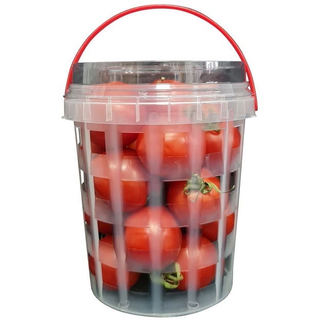 Clear Plastic Fruit Punnet for Mushroom Blueberry Strawberry Food Punnet Packaging with Handle BPA-Free Material Custom Color