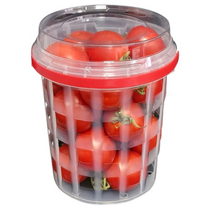 Clear Plastic Fruit Punnet for Mushroom Blueberry Strawberry Food Punnet Packaging with Handle BPA-Free Material Custom Color