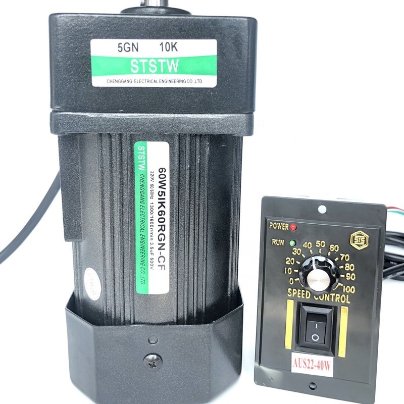 60w small size ac gear motor with speed controller