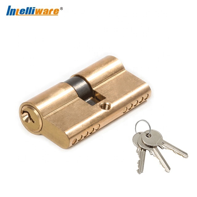 50-120mm Length Security Door Lock Cylinder for Mortise Locks