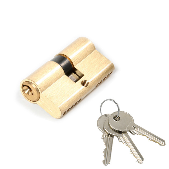 Intelliware 1K2001 5 Pins Polished Brass European Door Lock Cylinder