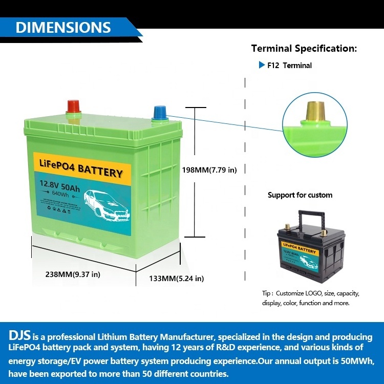 12v 50Ah LiFePO4 Battery Lithium ion Rechargeable Battery Built-in BMS Protect Charging and Discharging for Car Starting CCA800