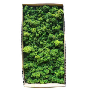 Lowest Price Artificial Living Moss Grass Wall Plants Artificial Green Walls, In Stock Preserved resin moss