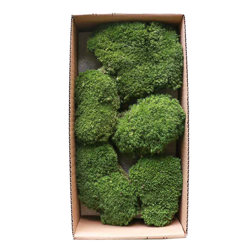 artificial mini scandia marimo moss ball picture wall pole panels