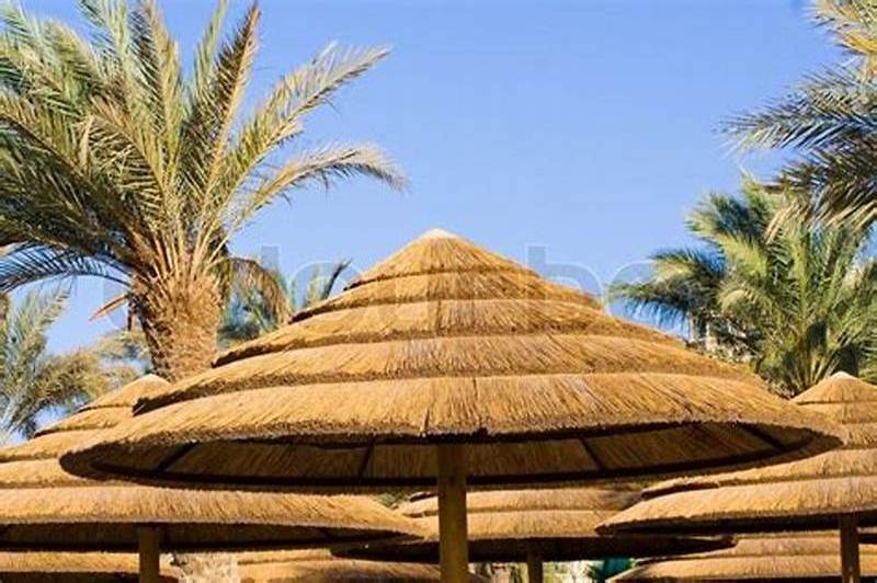 Free Sample 2020 factory directly cost price all kinds of beach thatch umbrella