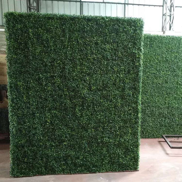 Evergreen Artificial Flower Outdoor Boxwood Wall 3D Greenery Walls