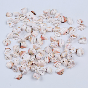 High Polished White Color Seashell Natural Craft Loose Cowrie Sea Shell For DIY