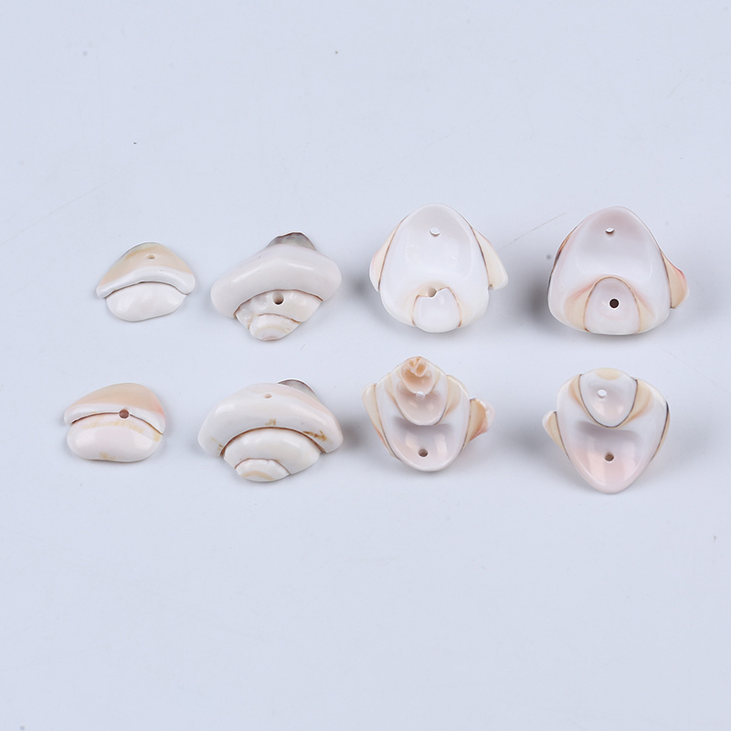 High Polished White Color Seashell Natural Craft Loose Cowrie Sea Shell For DIY